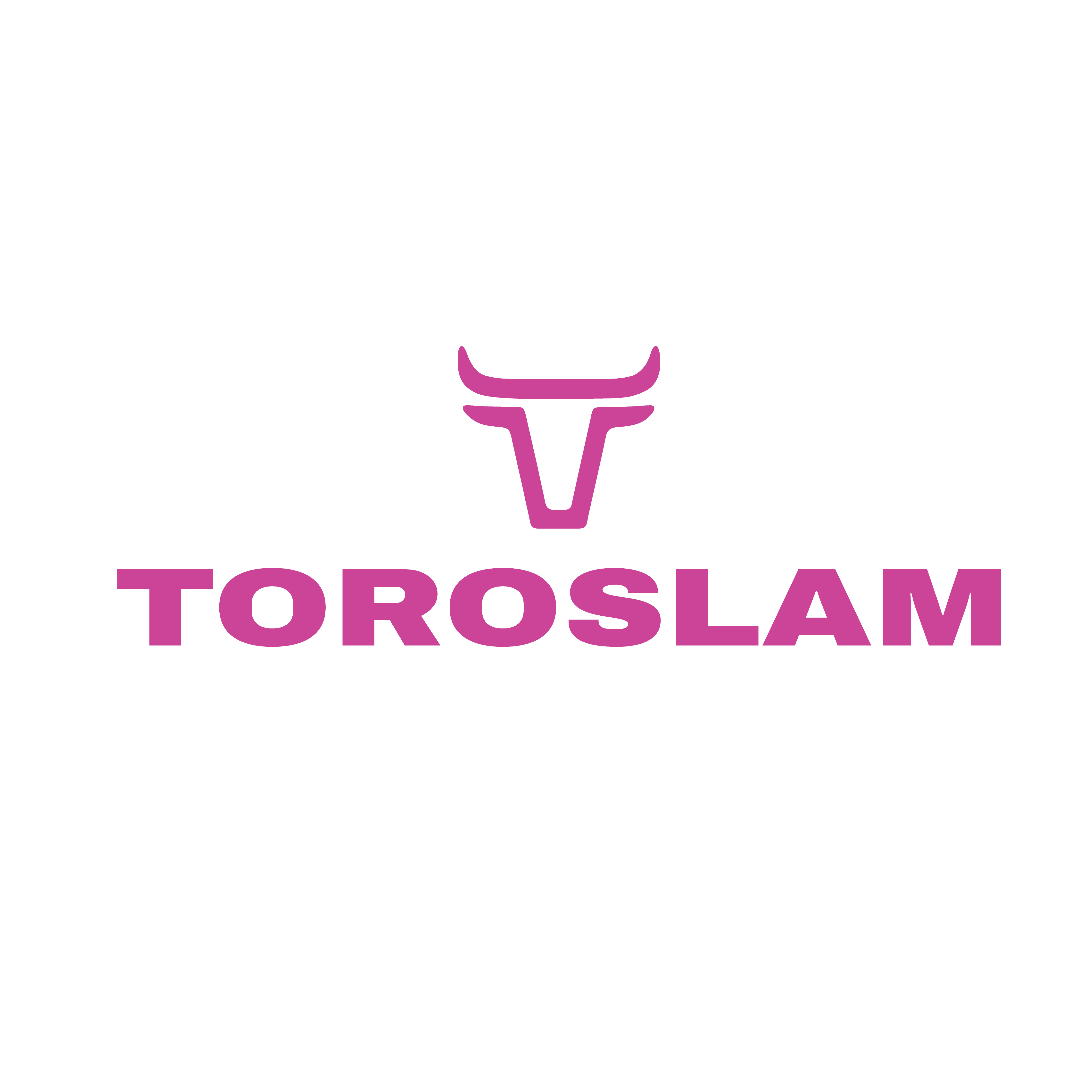 ToroSlam